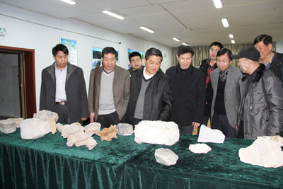 河北省人民政府學位辦公室榮飛主任、趙清云副主任蒞臨我院指導工作