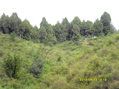 院領導赴實習基地看望學生