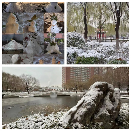 浴“雪”奮戰---藝術學院開展冬日“破冰行動”