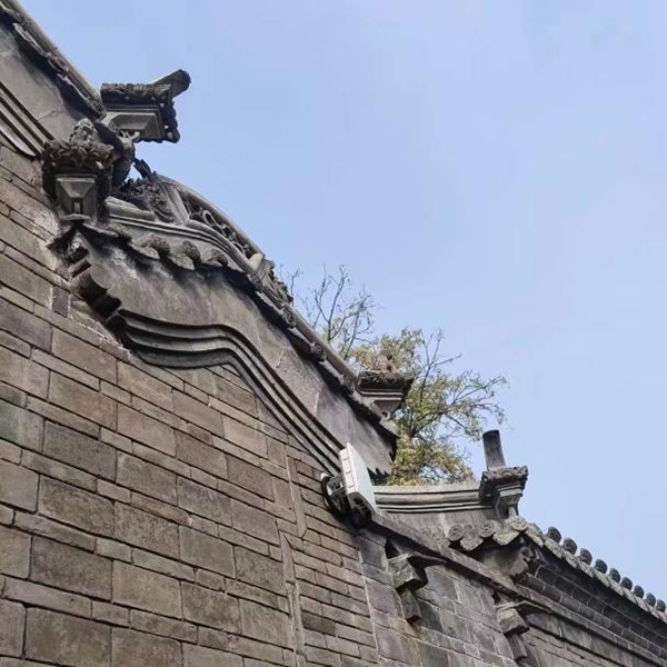 春日旅行攻略|管理學院|看這里，一起暢行保定