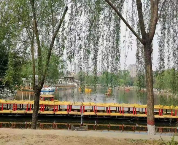 春日旅行攻略|管理學院|看這里，一起暢行保定