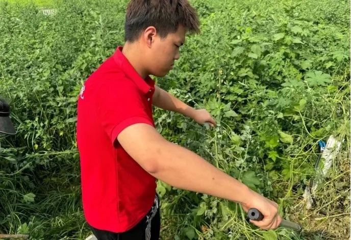 社會實踐(十六)勇?lián)鷷r代使命,助力興村振興——保定理工學院經(jīng)濟學院“三下鄉(xiāng)”社會實踐