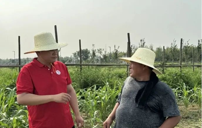 社會實踐(十六)勇?lián)鷷r代使命,助力興村振興——保定理工學院經(jīng)濟學院“三下鄉(xiāng)”社會實踐