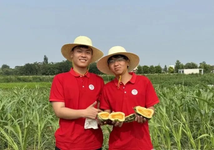 社會實踐(十六)勇?lián)鷷r代使命,助力興村振興——保定理工學院經(jīng)濟學院“三下鄉(xiāng)”社會實踐