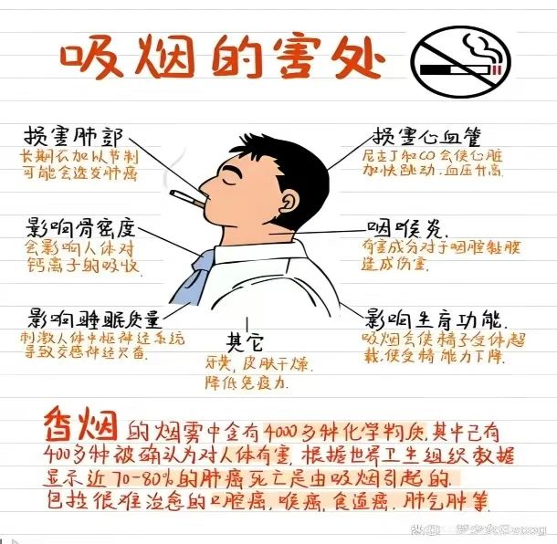 創建無煙校園，共享健康藍天