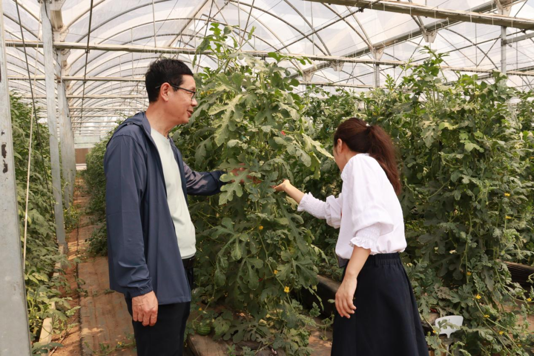 河北水潤佳禾農業集團成功舉行掛牌儀式