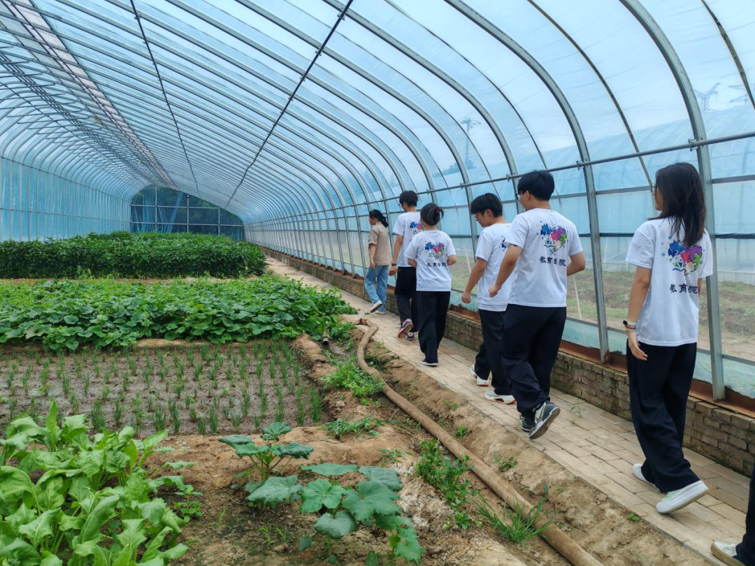 暑期社會活動實踐（二）：保定市滿城漕河沐陽農業生態園授牌活動