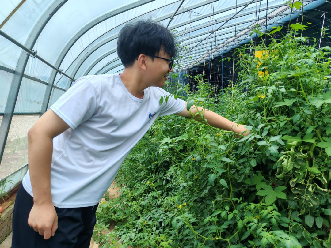 暑期社會活動實踐（二）：保定市滿城漕河沐陽農業生態園授牌活動