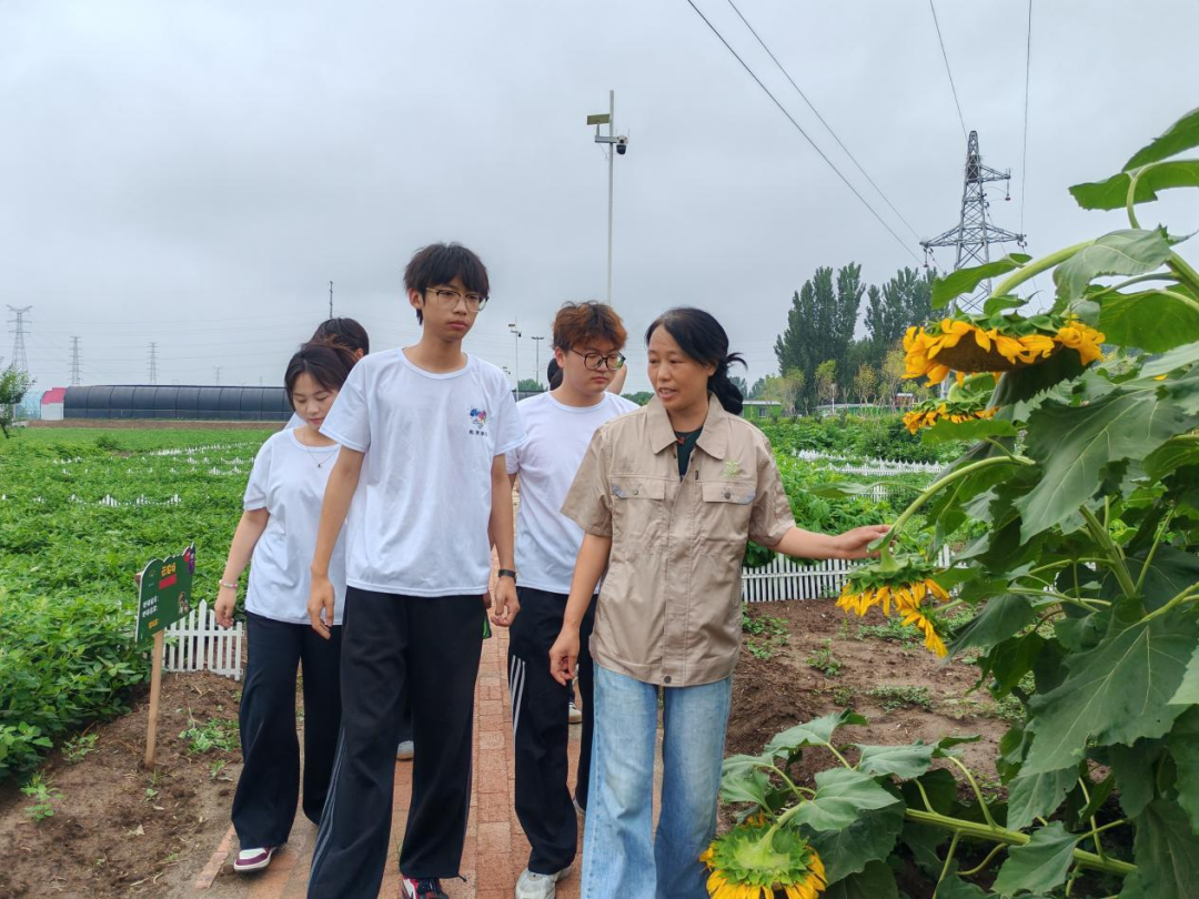 暑期社會活動實踐（二）：保定市滿城漕河沐陽農業生態園授牌活動