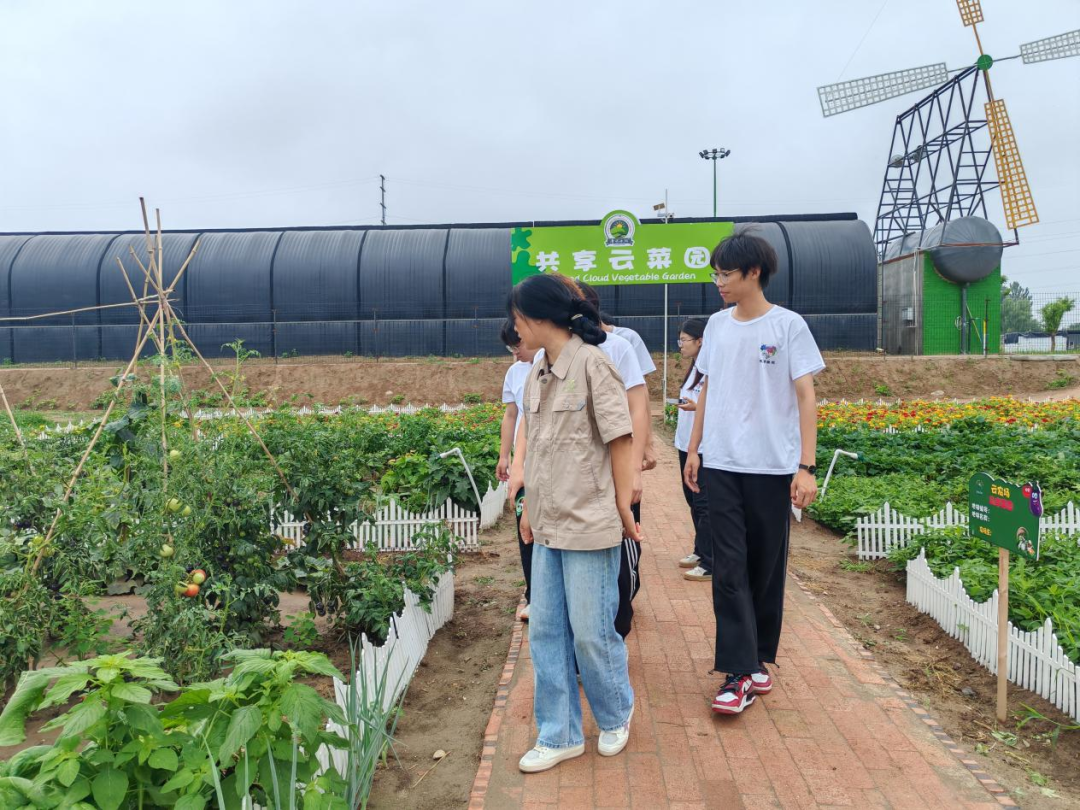 暑期社會活動實踐（二）：保定市滿城漕河沐陽農業生態園授牌活動