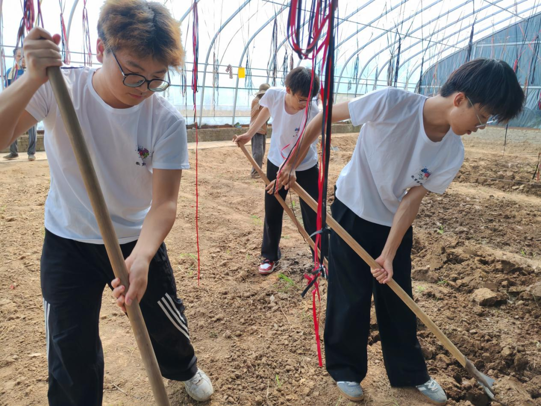 暑期社會活動實踐（二）：保定市滿城漕河沐陽農業生態園授牌活動