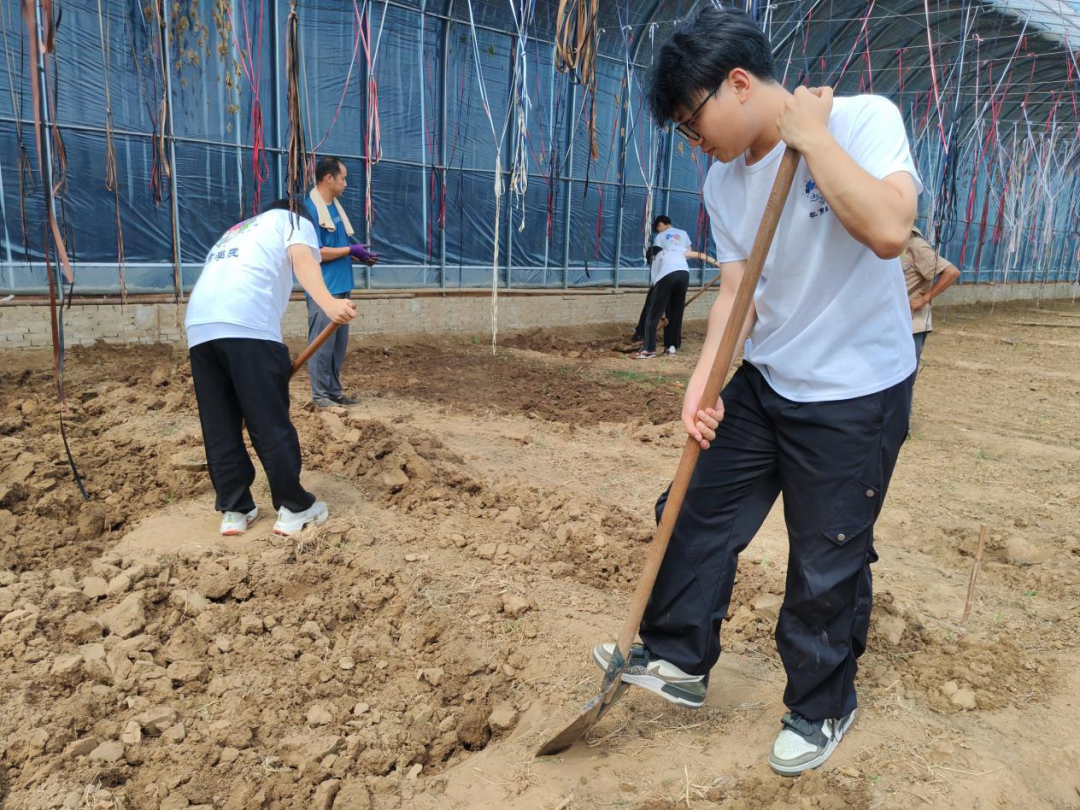 暑期社會活動實踐（二）：保定市滿城漕河沐陽農業生態園授牌活動