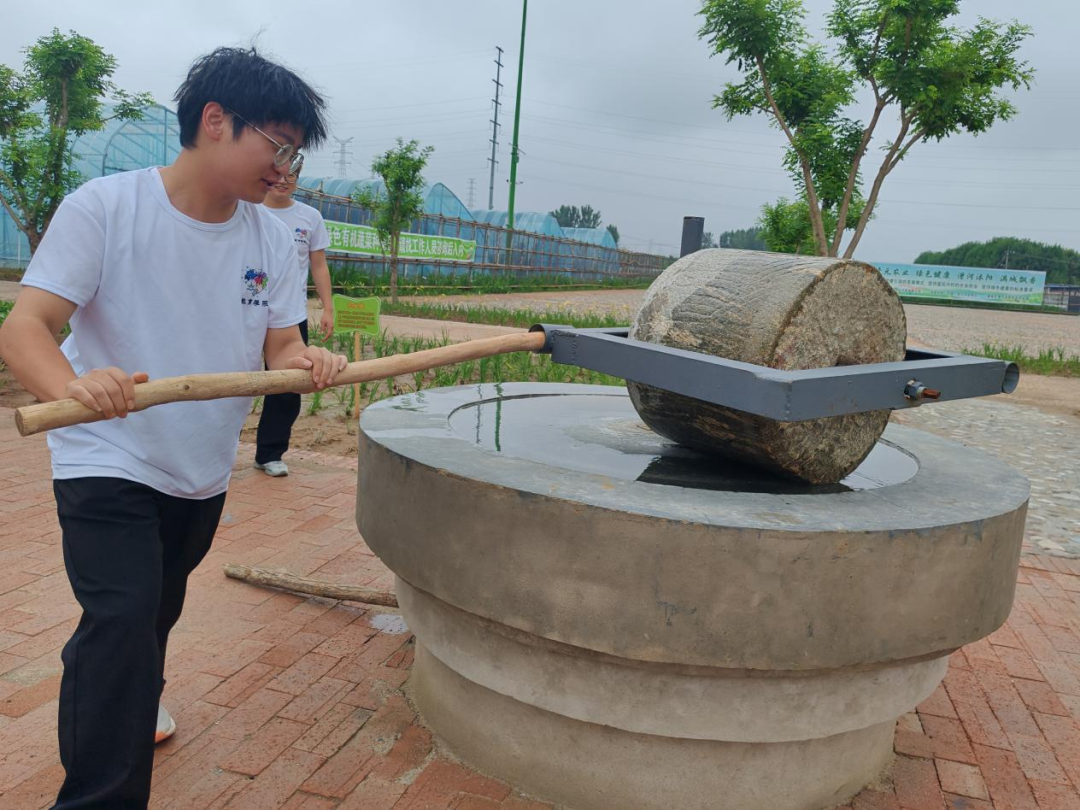 暑期社會活動實踐（二）：保定市滿城漕河沐陽農業生態園授牌活動