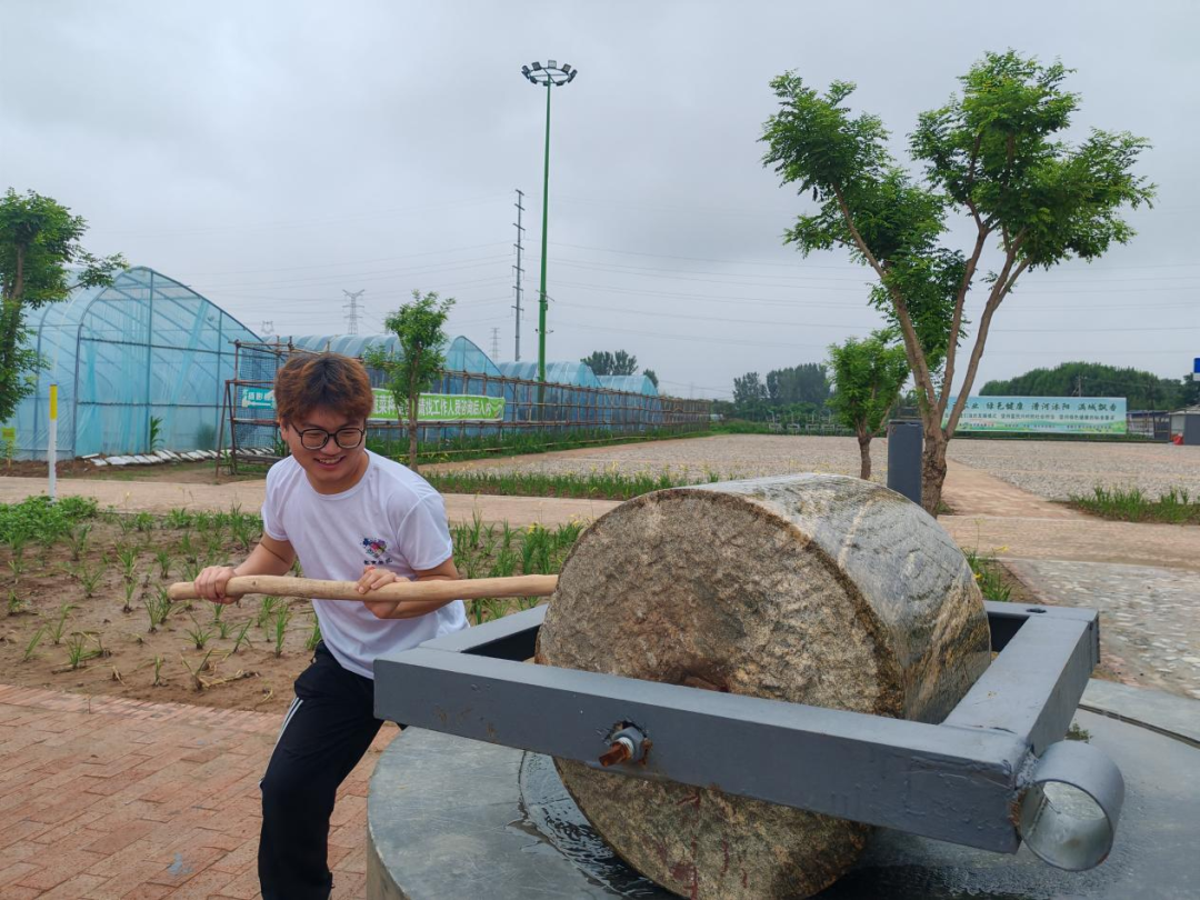 暑期社會活動實踐（二）：保定市滿城漕河沐陽農業生態園授牌活動