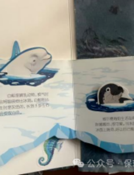 指尖筑夢，紙間傳情——視覺傳達設計專業書籍裝幀設計實訓課程作品展示