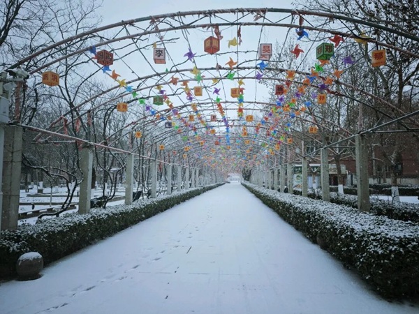 寒假限定！保理的初雪，把浪漫寄給返鄉(xiāng)的你