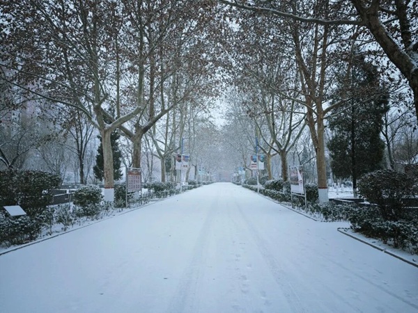 寒假限定！保理的初雪，把浪漫寄給返鄉(xiāng)的你
