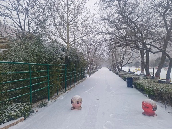 寒假限定！保理的初雪，把浪漫寄給返鄉(xiāng)的你