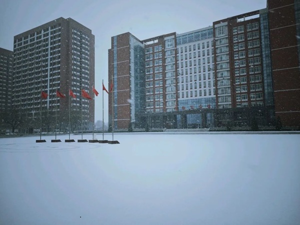 寒假限定！保理的初雪，把浪漫寄給返鄉(xiāng)的你