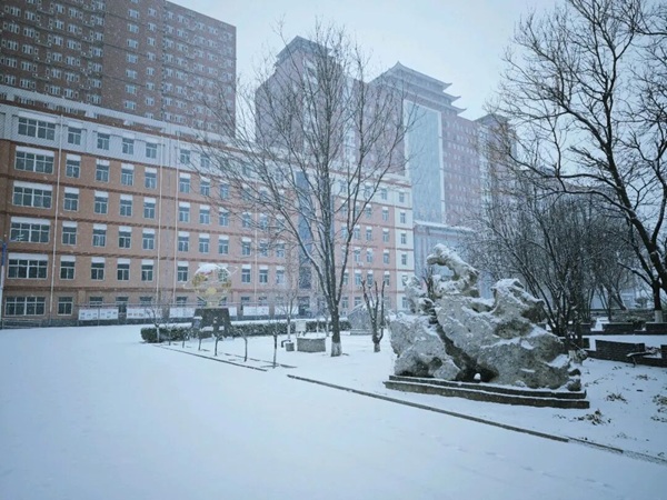寒假限定！保理的初雪，把浪漫寄給返鄉(xiāng)的你
