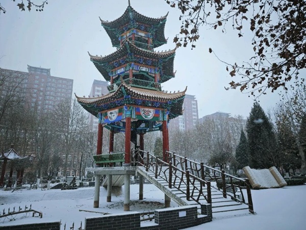 寒假限定！保理的初雪，把浪漫寄給返鄉(xiāng)的你