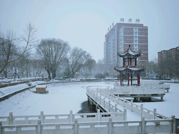 寒假限定！保理的初雪，把浪漫寄給返鄉(xiāng)的你