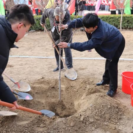 植此青綠，不負春光