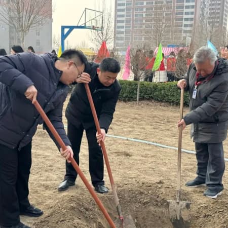 植此青綠，不負春光