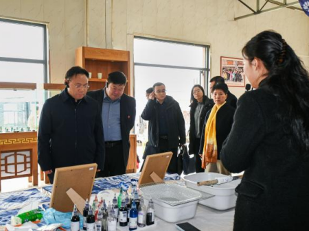 校際交流促發(fā)展 非遺傳承育新人 ——保定幼兒師范高等專科學校領導蒞臨我校藝術工坊參觀交流