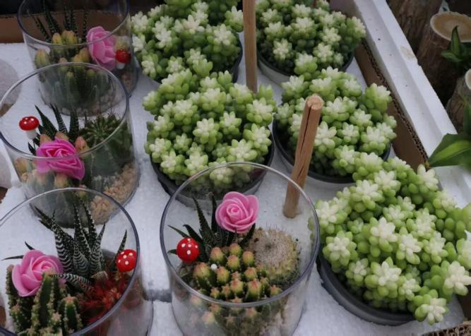 植此青綠  共赴春日——教育學院植樹節系列活動