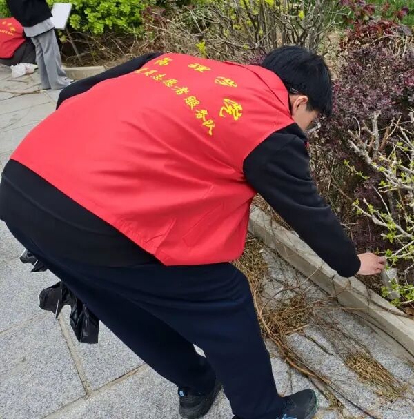 養成教育|保定理工學院管理學院學子以“彎腰行動”行動詮釋文明素養