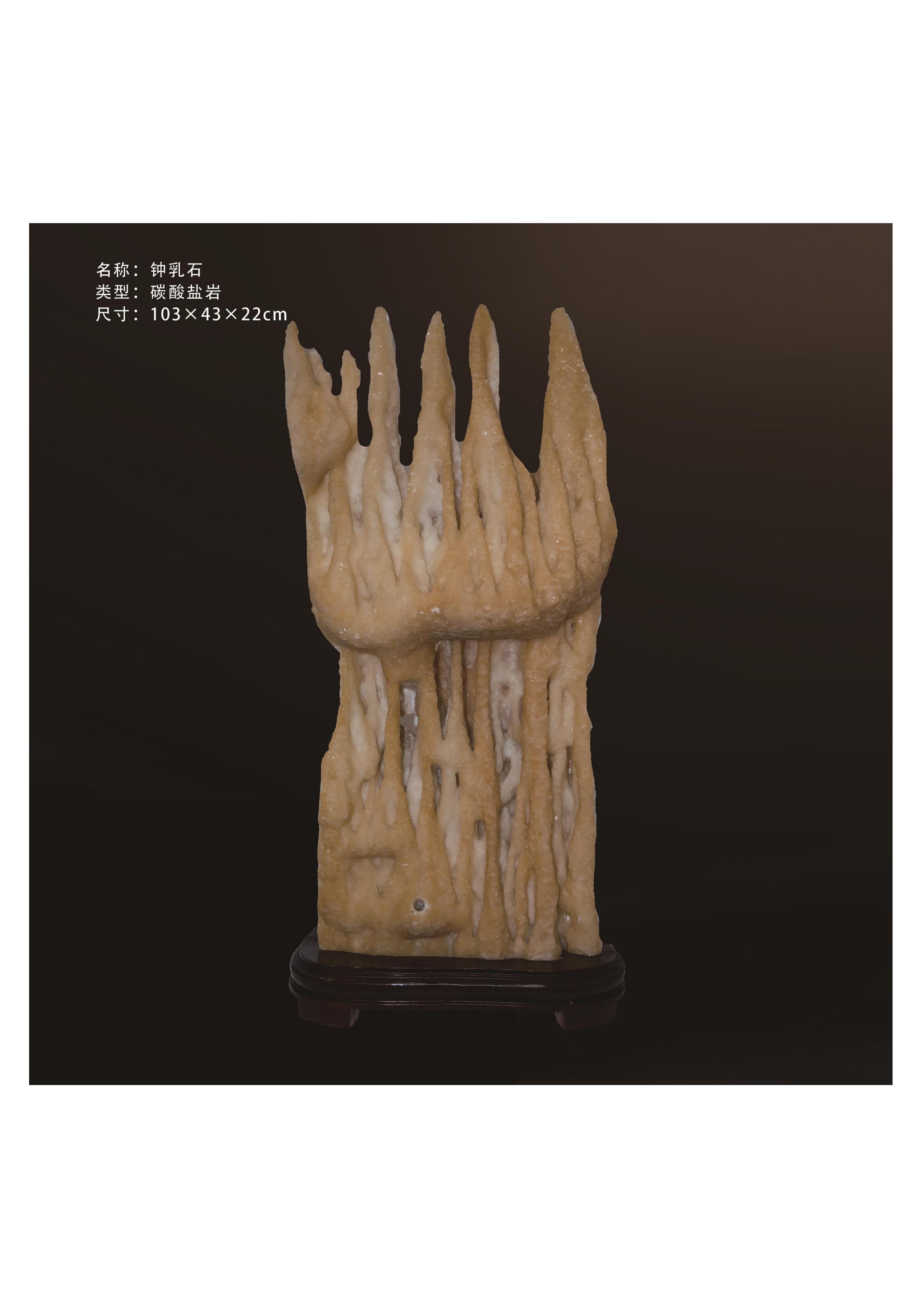 簡介