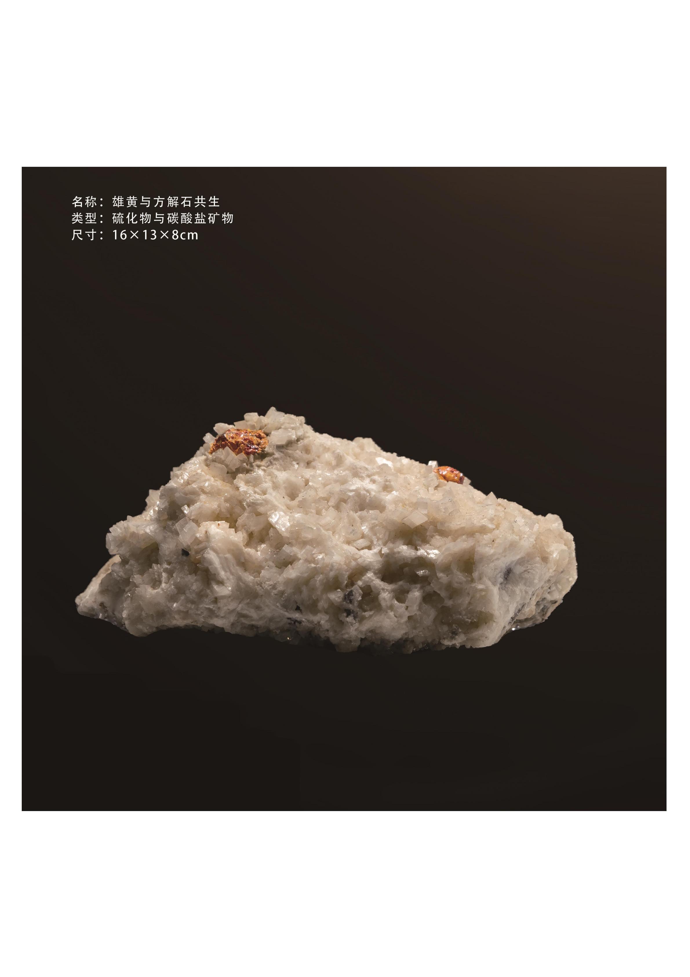 簡介