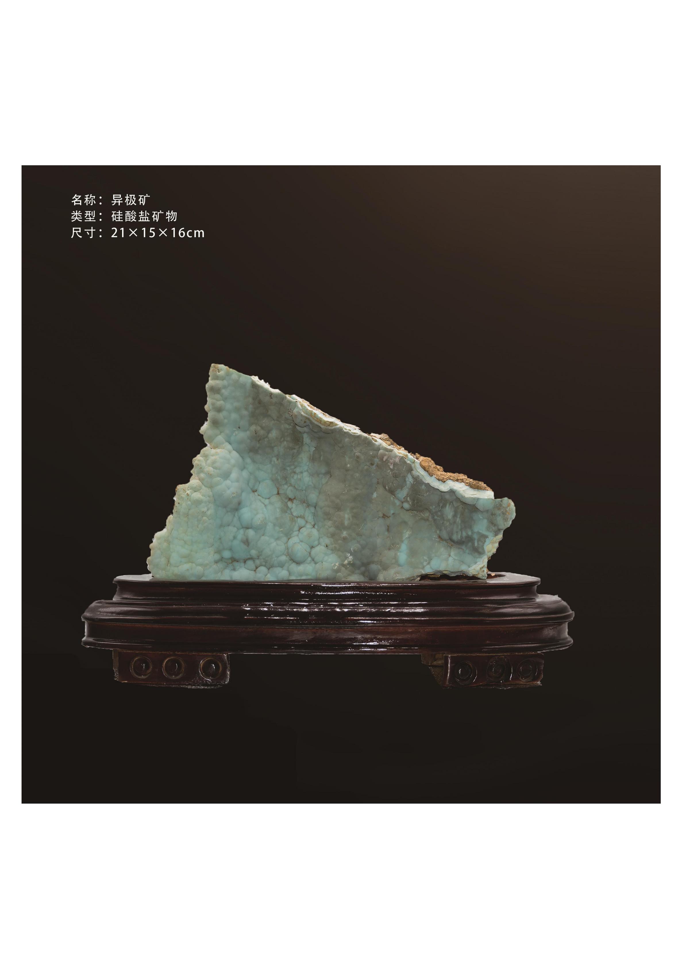 簡介