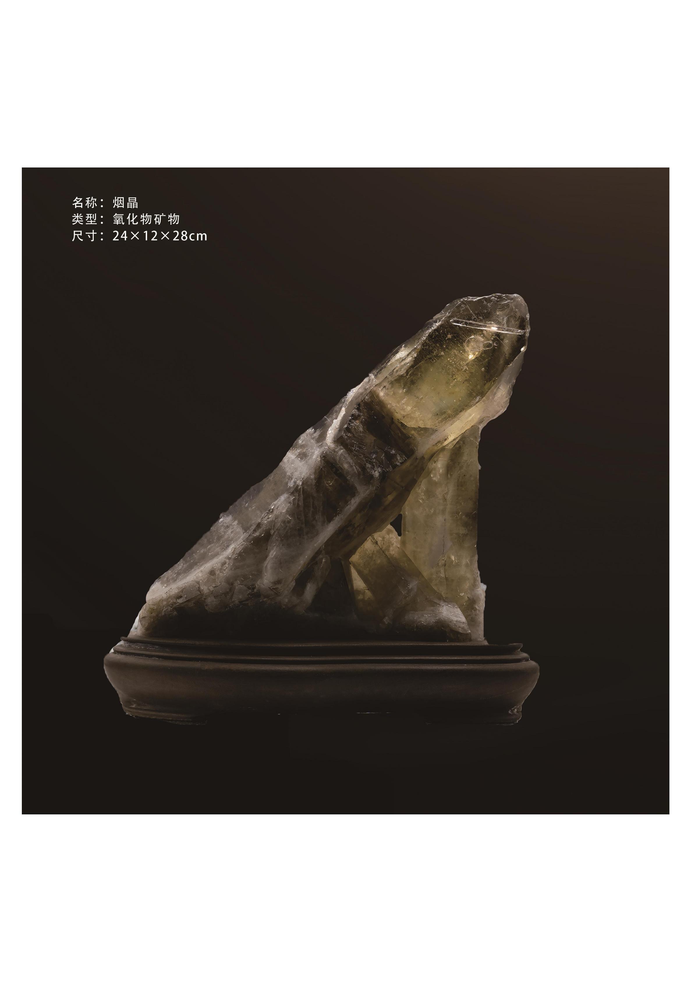 簡介