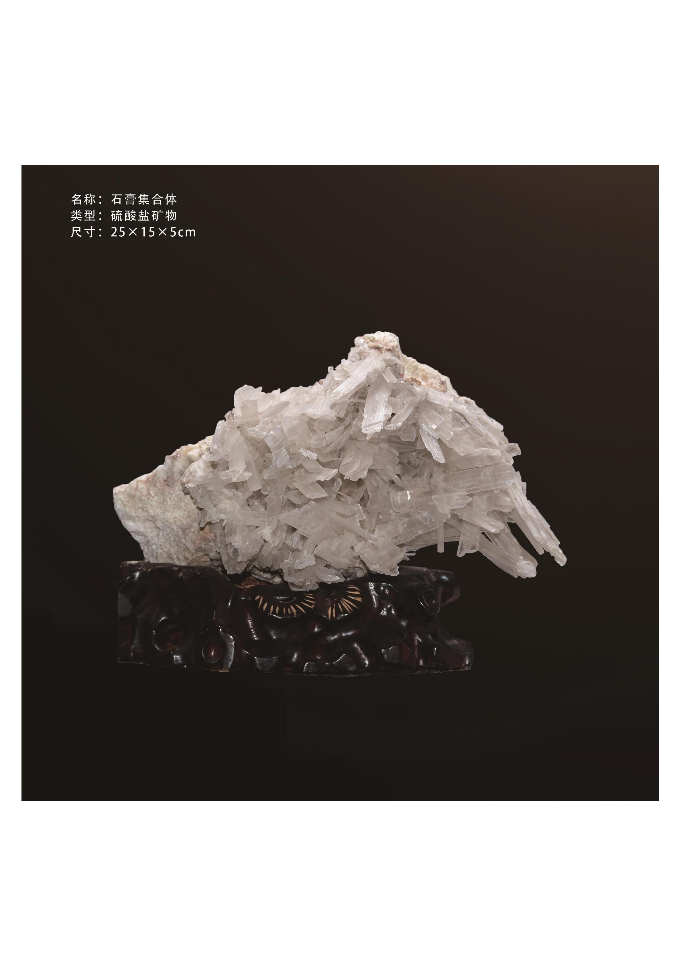 簡介