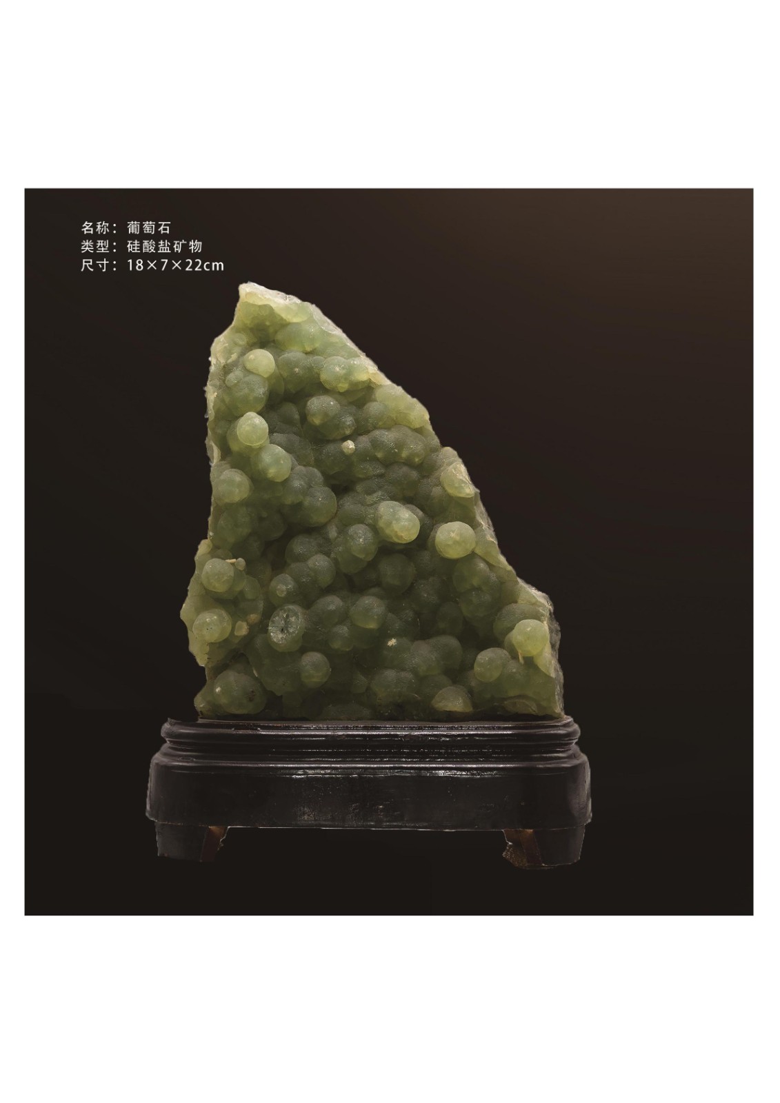 簡介
