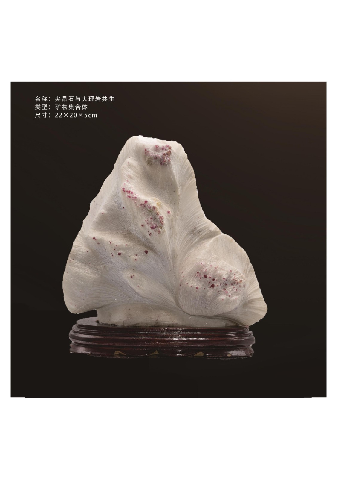 簡介