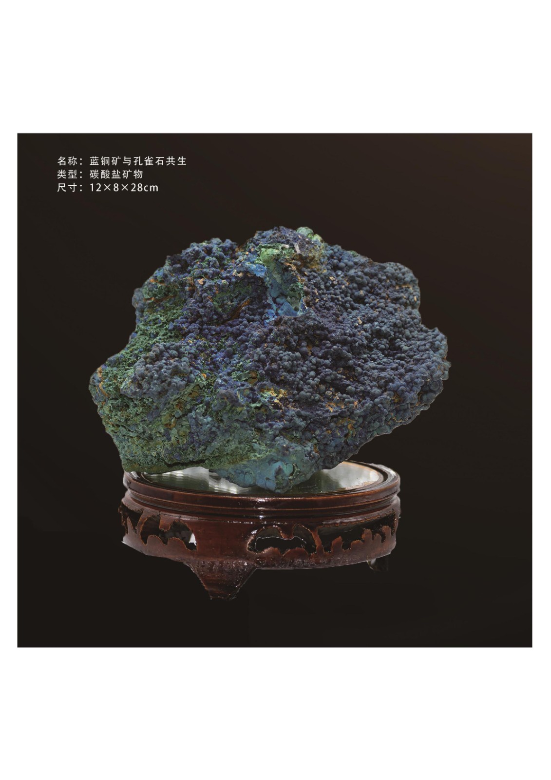 簡介