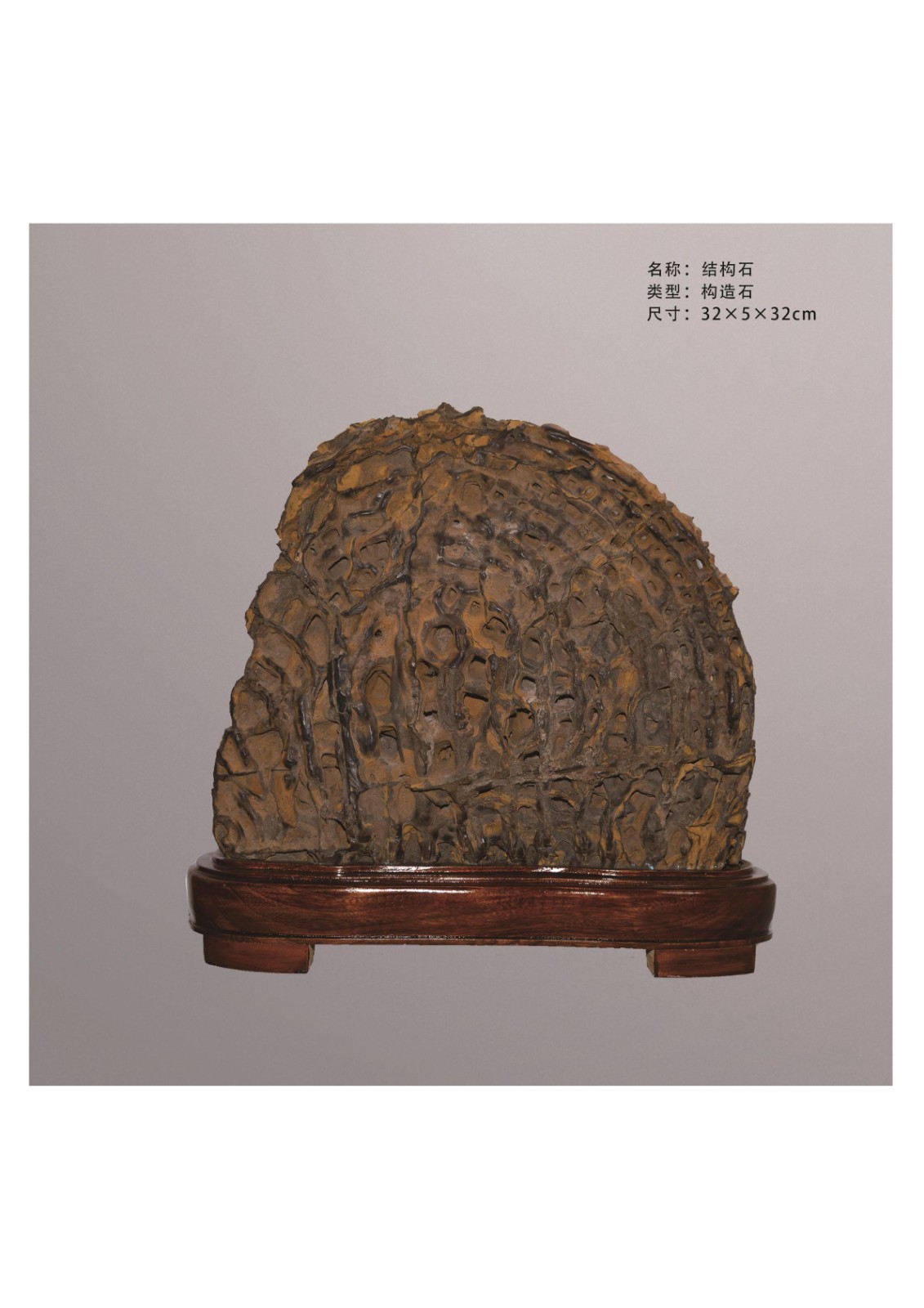 簡介