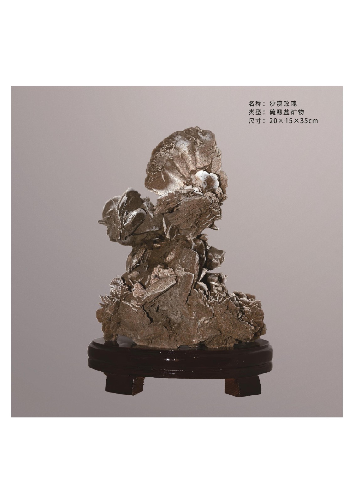 簡介