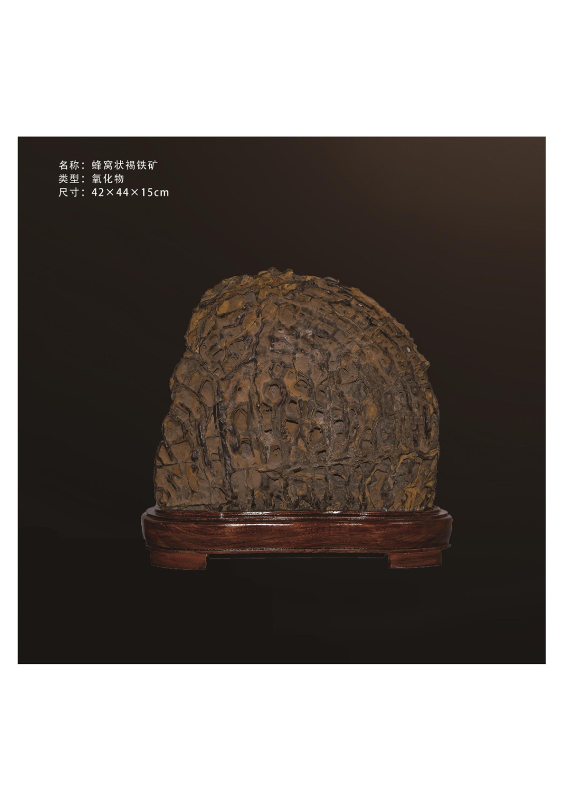 簡介