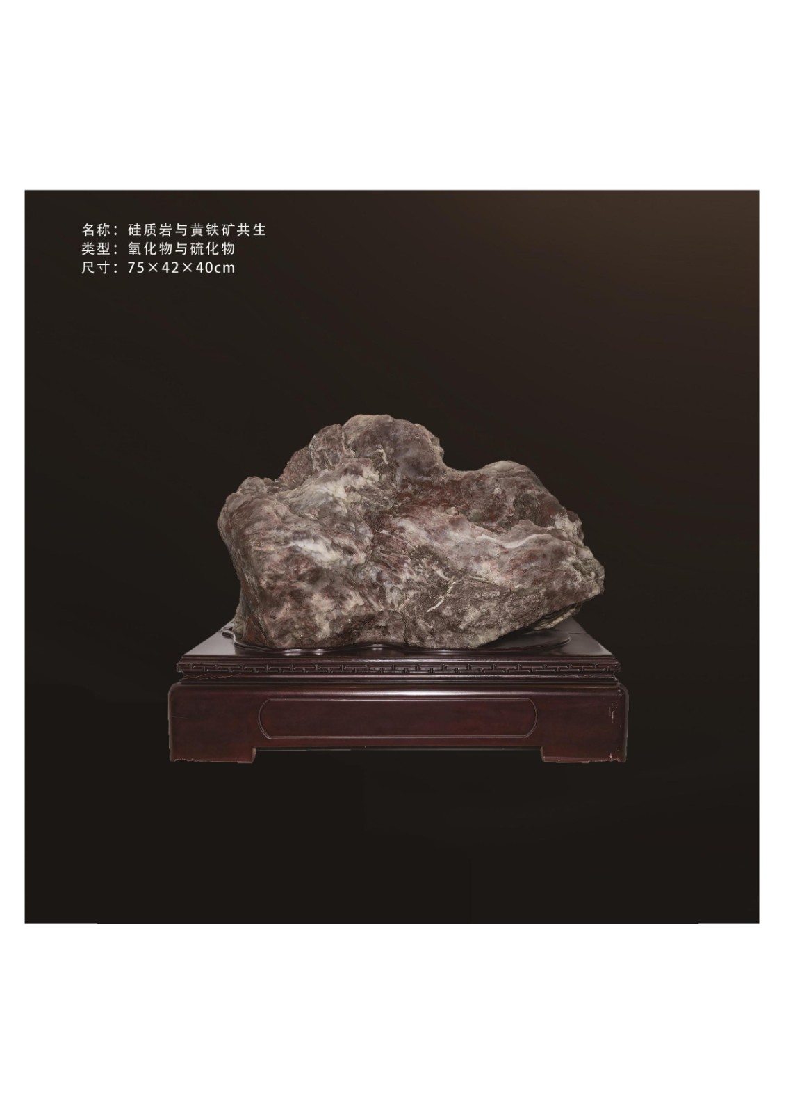 簡介