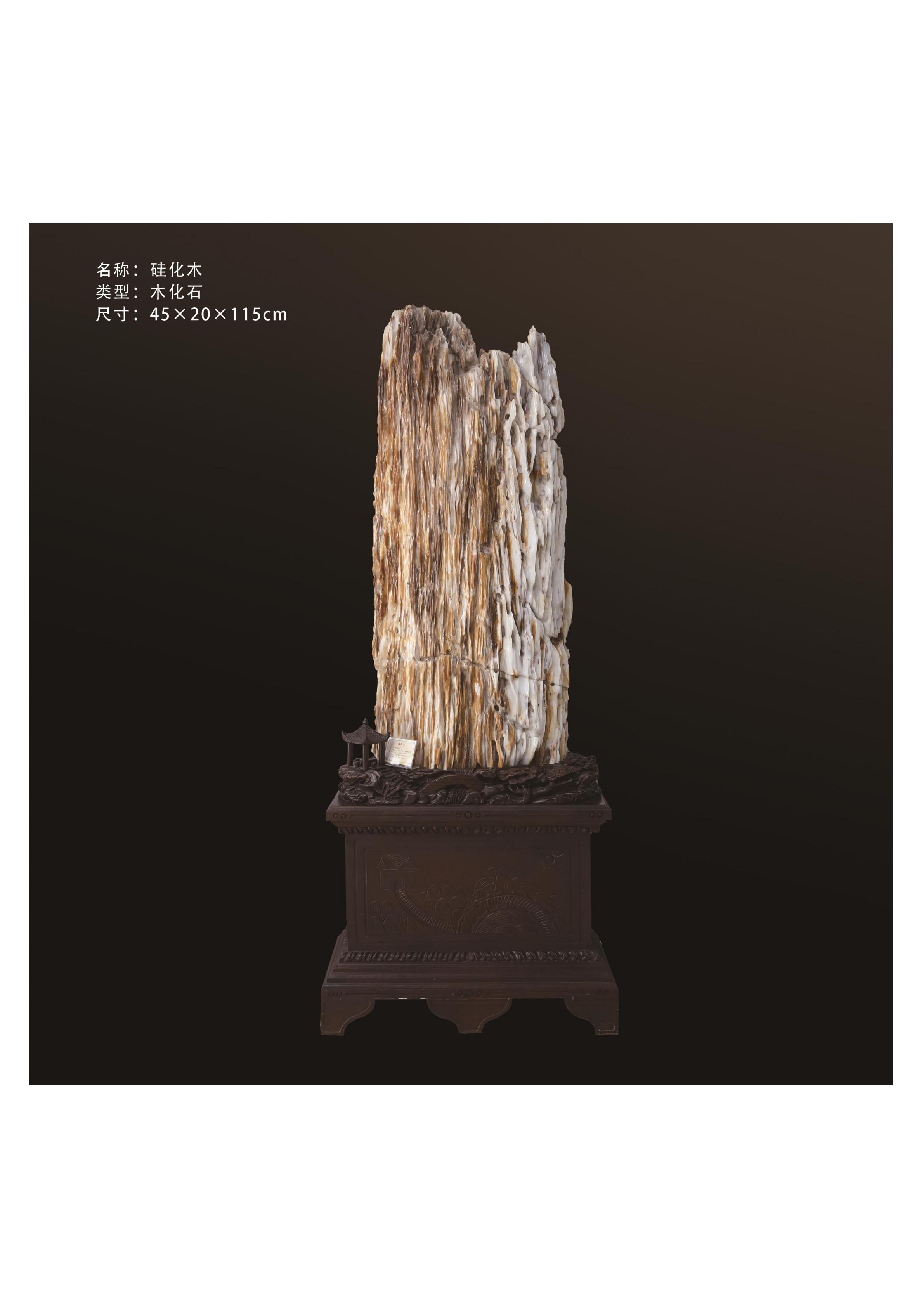 簡介