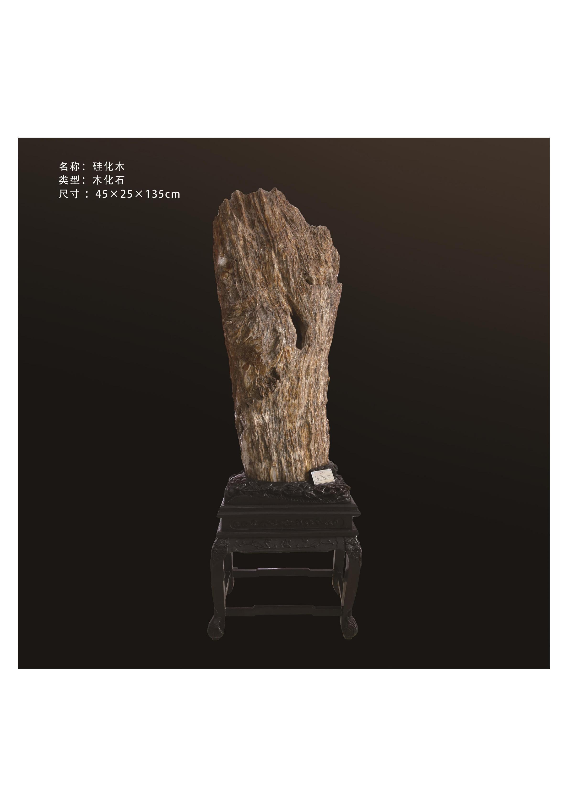 簡介