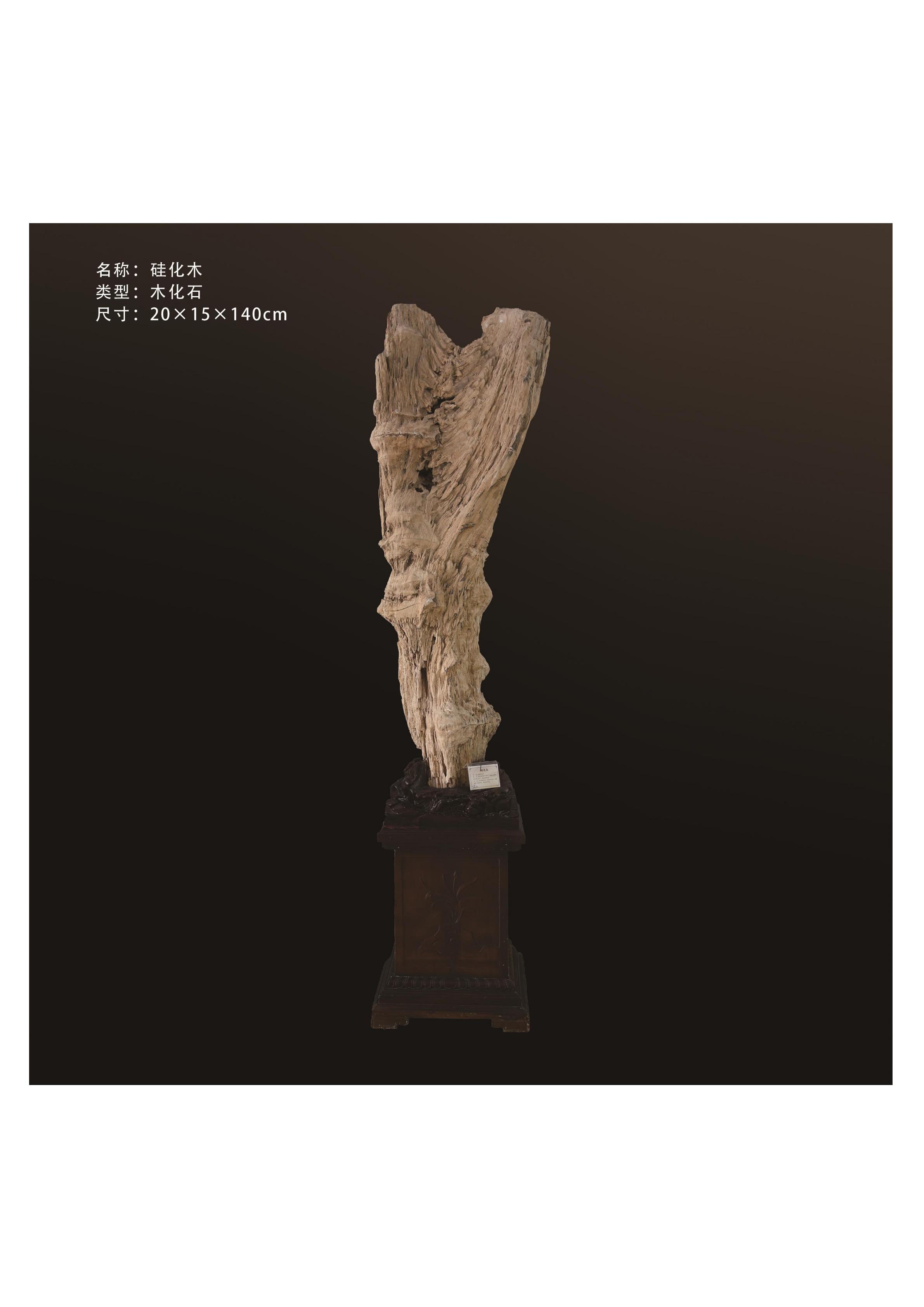簡介
