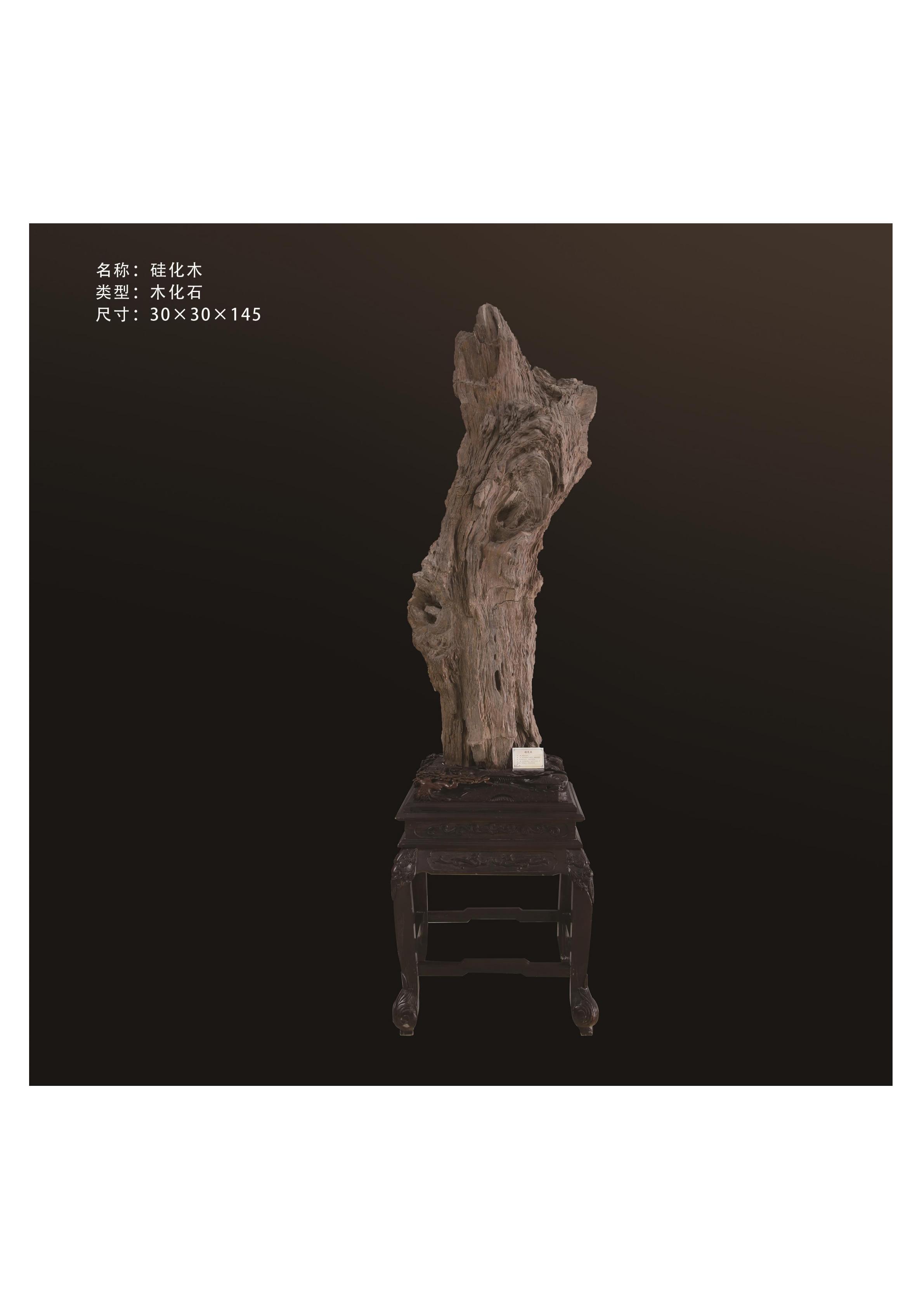 簡介