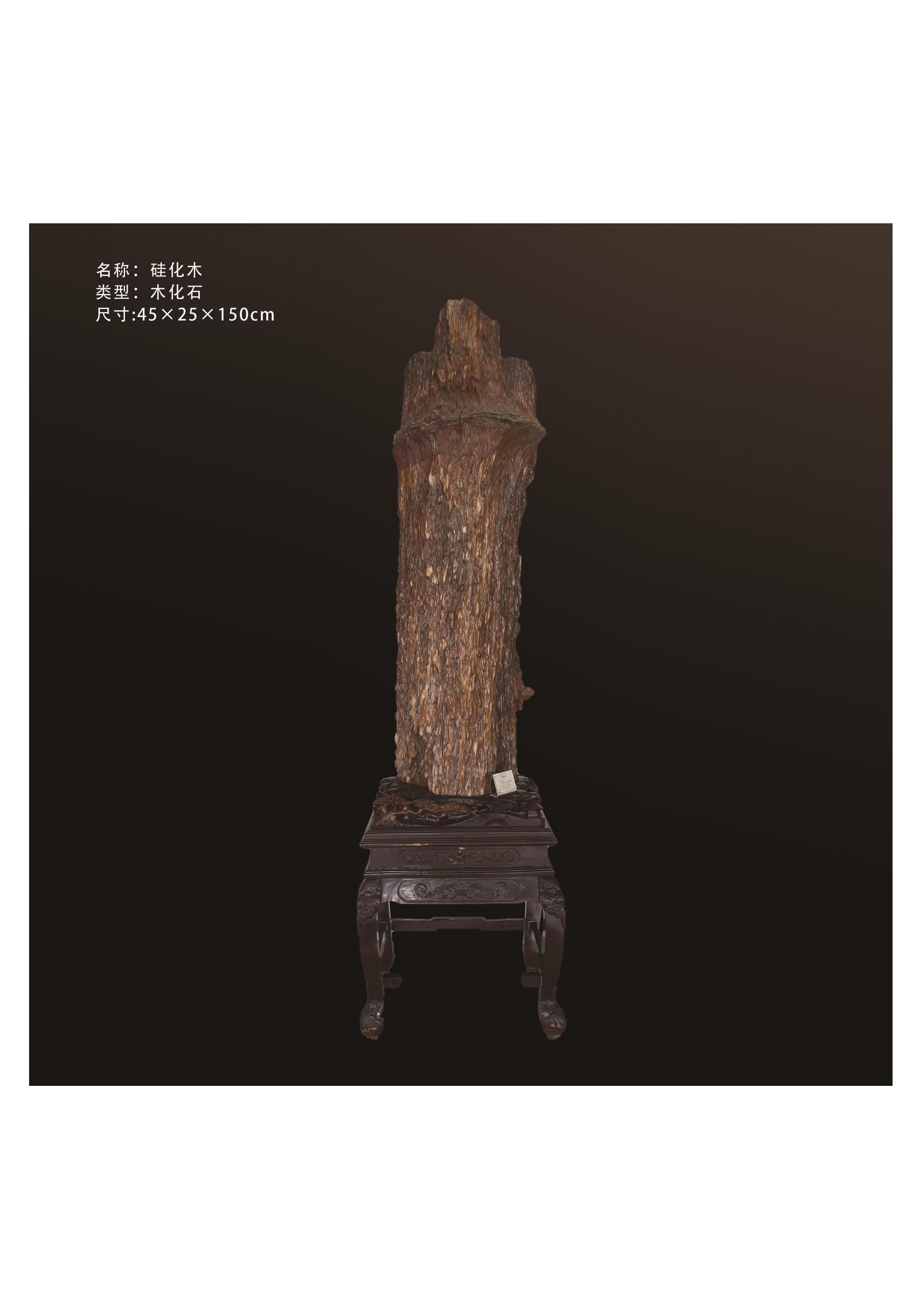 簡介
