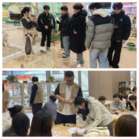 課堂搬進商業綜合體，設計賦能地方文旅發展保定理工學院藝術學院校企實踐收獲企業感謝信