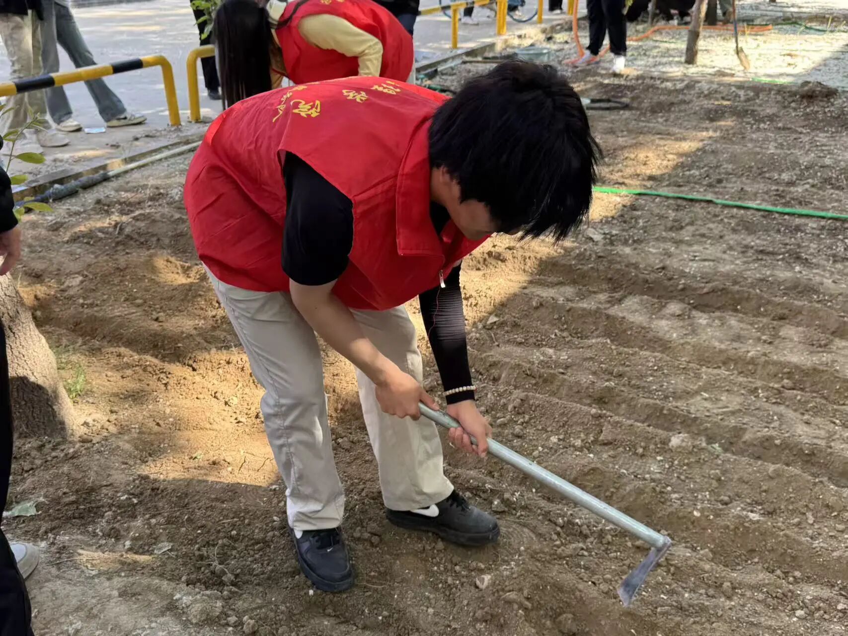 勞動鑄魂踐初心 體驗賦能促成長——保定理工學院管理學院開展勞動教育月主題黨日實踐活動